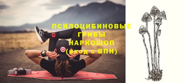 мяу мяу мука Богданович