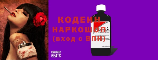 дмт Бородино