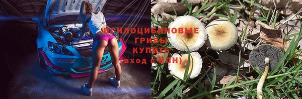 амф Бронницы