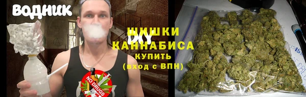 ПСИЛОЦИБИНОВЫЕ ГРИБЫ Бугульма