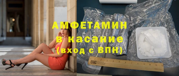 дмт Бородино
