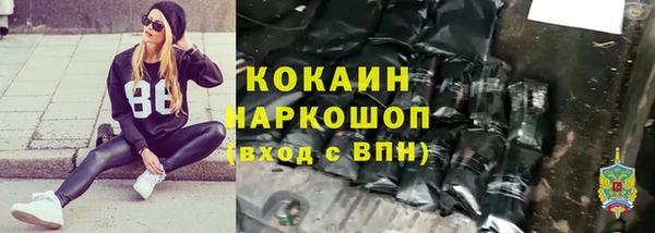 дмт Бородино