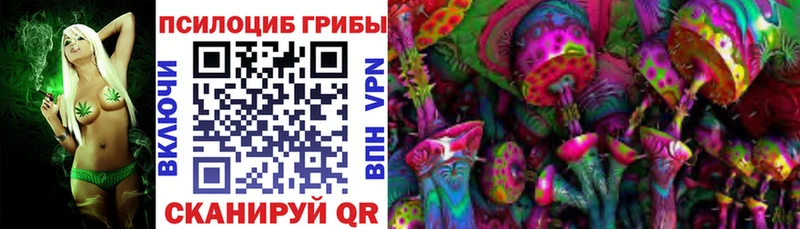Купить где  Полесск  Галлюциногенные грибы Magic Shrooms 